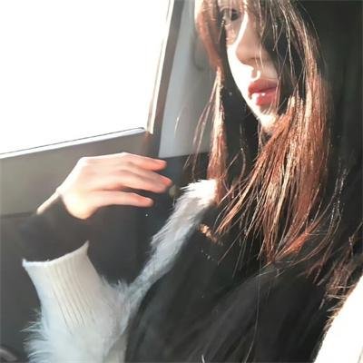 往日的山猫